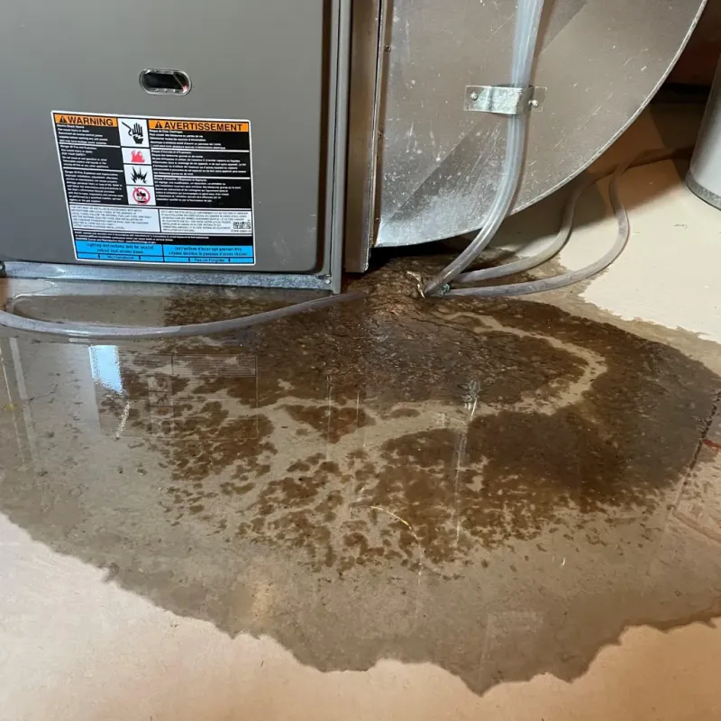 Appliance Leak Cleanup in Conehatta, MS